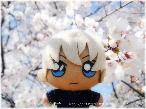 01amunuitop.jpg