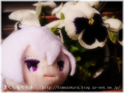 01sougo.jpg