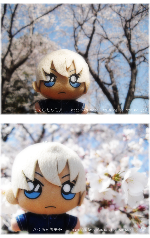 02amunui.jpg