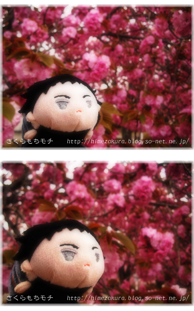02atsu.jpg