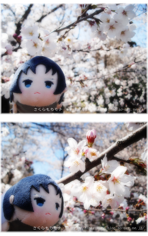 02iori.jpg