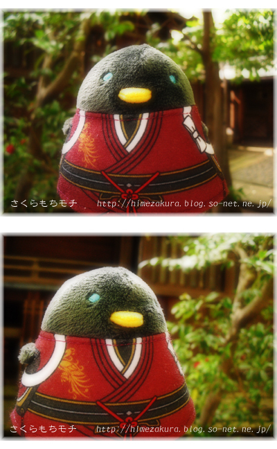 02kanesada.jpg