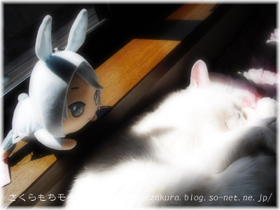 02usagi.jpg