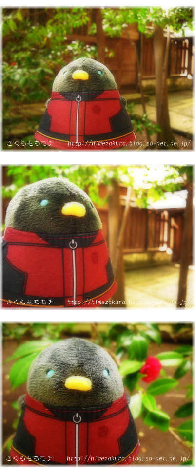 03horikawa.jpg