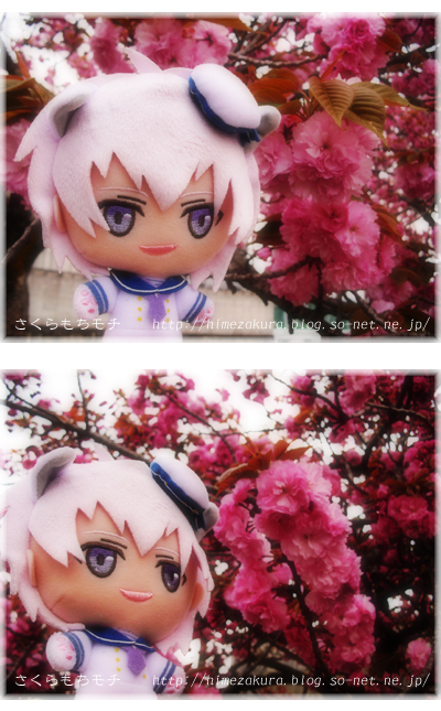 03sougo.jpg