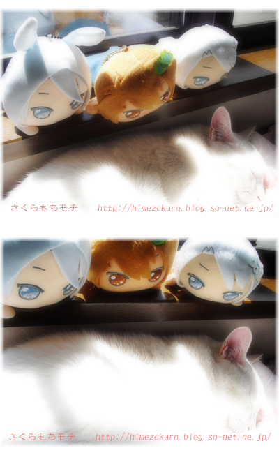 04nekonui.jpg