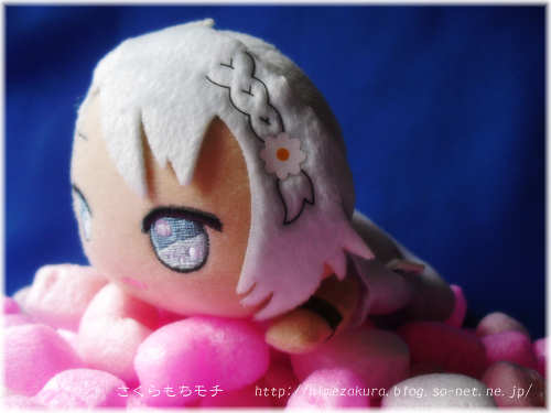 04shinwatop.jpg