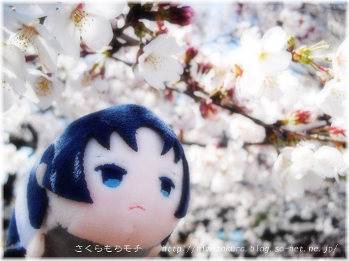 04twiori.jpg