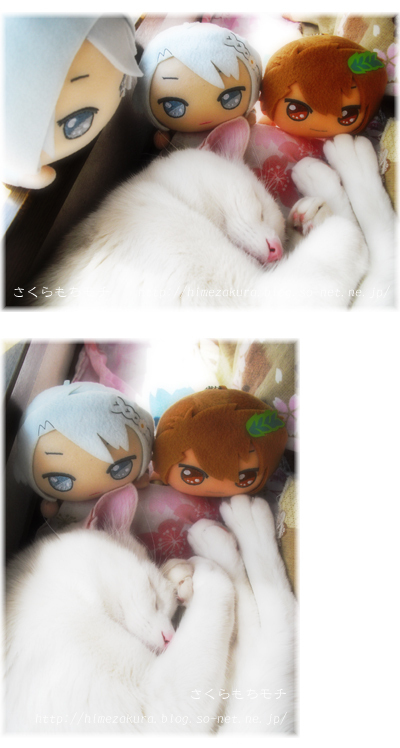 05nekonui.jpg