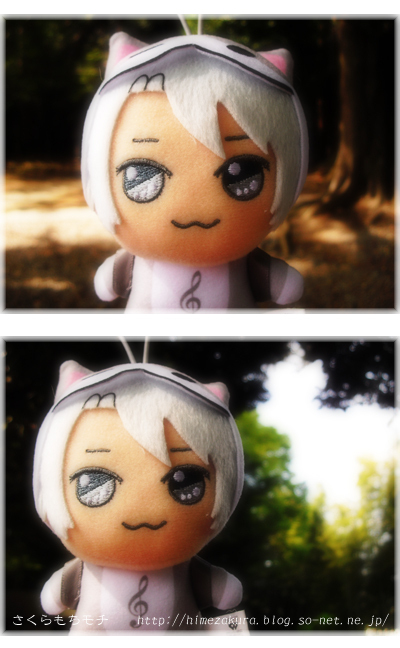06don_gaku.jpg