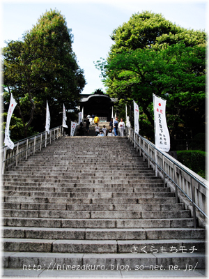 06jinja.jpg