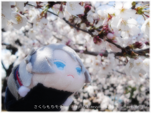 06mochigakutop.jpg