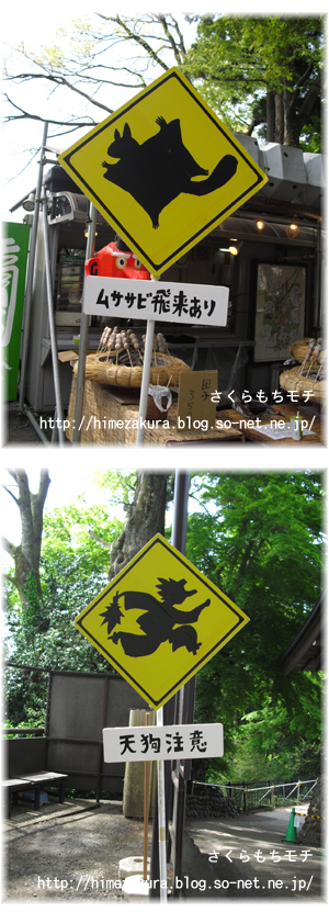 07.jpg