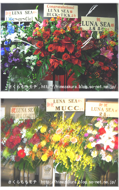 07lunasea.jpg