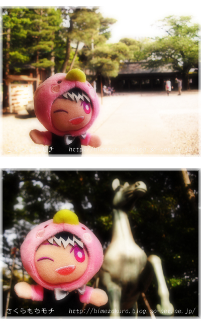 07momo.jpg