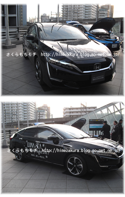 08LS.jpg