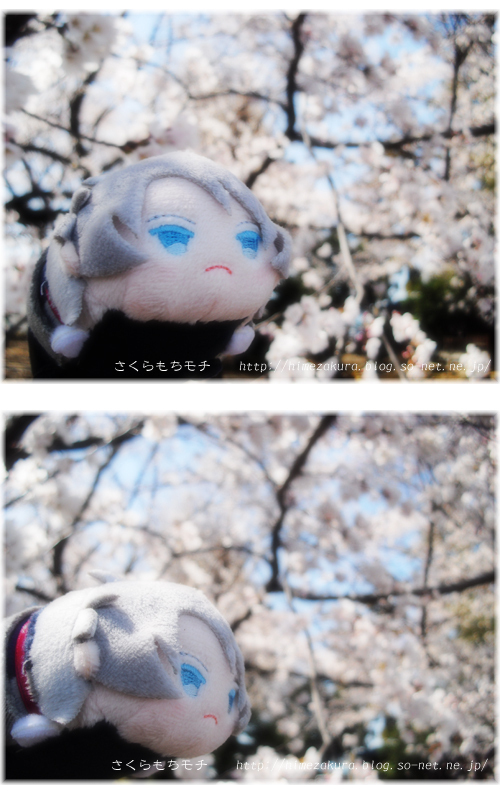 08mochigaku.jpg