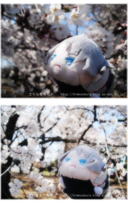 09mochigaku.jpg