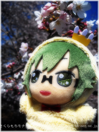 09yamato.jpg