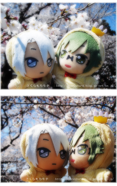 10gaku_yama.jpg