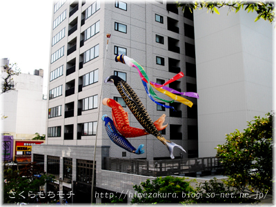10koinobori.jpg