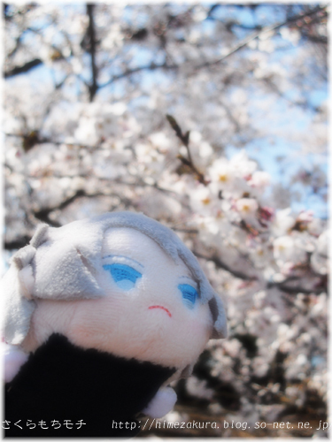 11mochigaku.jpg