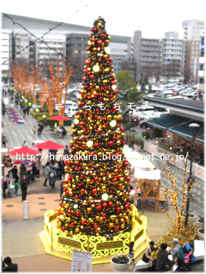 11xmastree.jpg