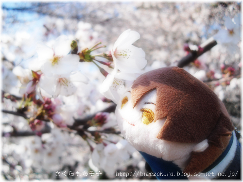 17mochi_ryu_top.jpg