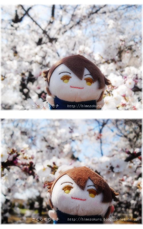 18mochi_ryu.jpg