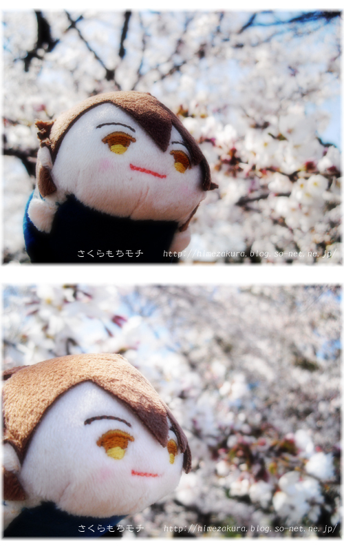 19mochi_ryu.jpg