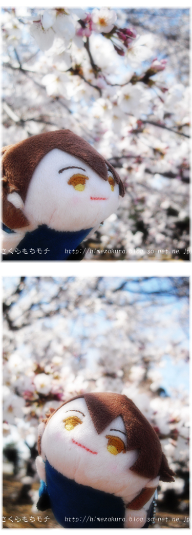 20mochi_ryu.jpg