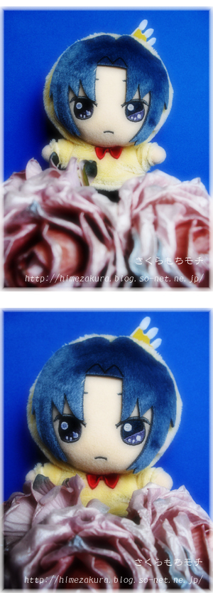 21iori_f.jpg