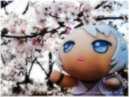 25shinwa_top.jpg