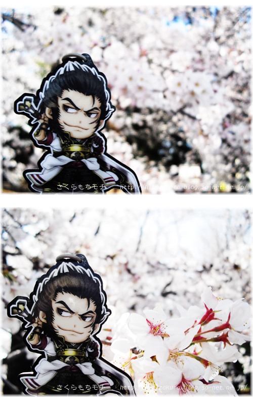 43sakon.jpg