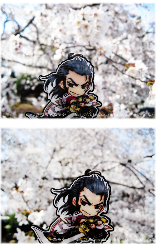 45sakon.jpg