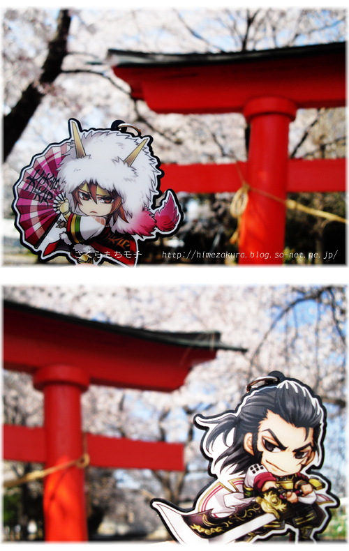 46sawayama.jpg
