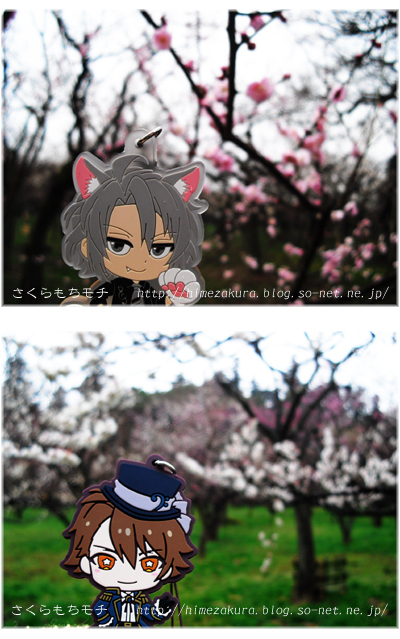 46ume.jpg