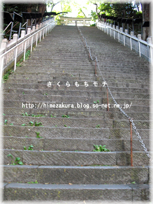 01.jpg