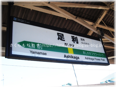 01ashikaga_top.jpg