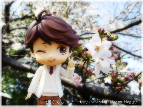 01oikawa.jpg