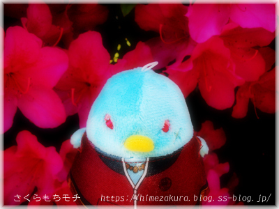 01yamabushi_top.jpg