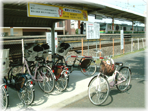 02.jpg