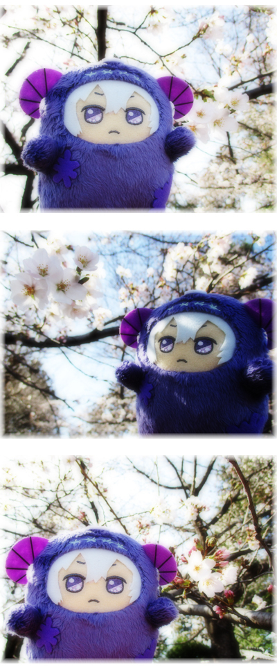 03.jpg