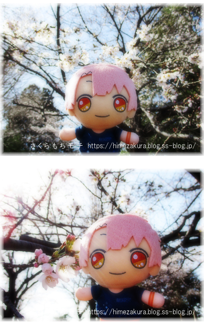 03mitsuki.jpg