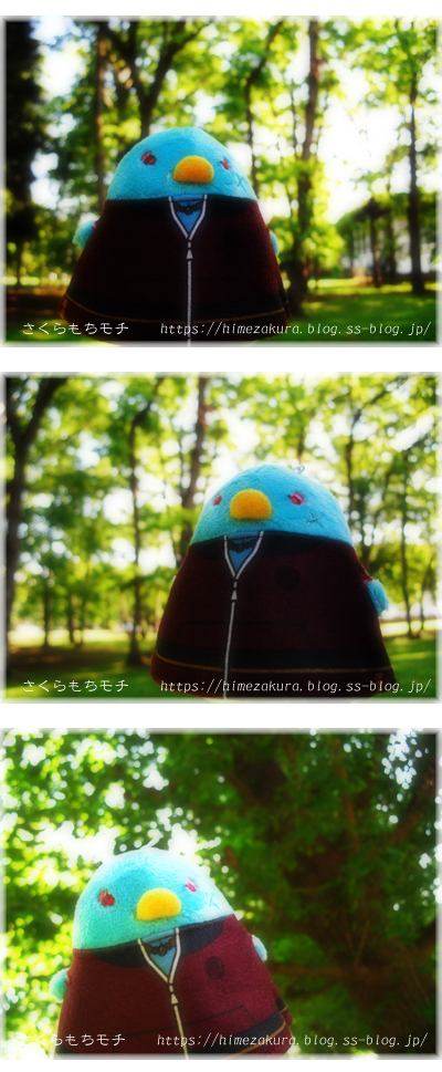 03yamabushi.jpg