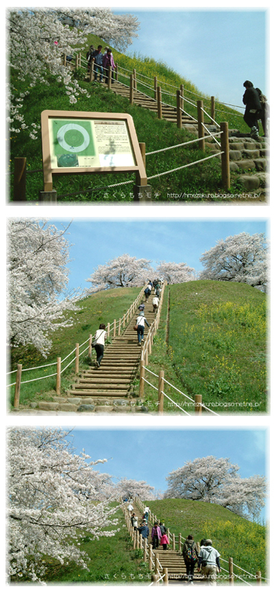 04.jpg