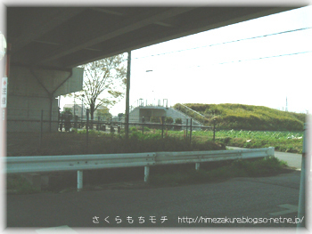 04.jpg