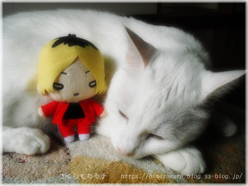 04kenma_top.jpg