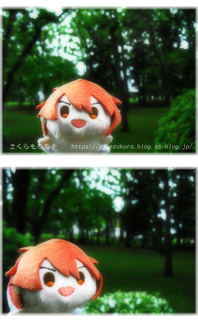 04riku.jpg