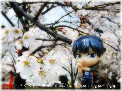 04tobio_top.jpg